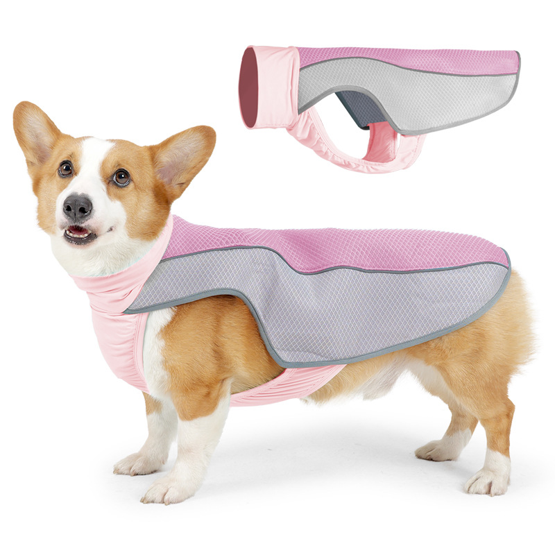 Dog Clothes